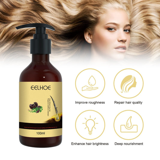 🔥Buy 2 Free Shipping✈️Polygonum Multiflorum GInger Shine Nourishing Root Shampoo