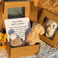 🎁BUY 1 GET 1 FREE!!✨Handmade Mini Plush Teddy Bear in Box