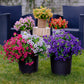 💖Spring Hot Sale 70% OFF- Artificial Flowers for Outdoors💐