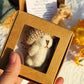 🎁BUY 1 GET 1 FREE!!✨Handmade Mini Plush Teddy Bear in Box