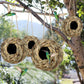 🔥BUY 2 GET 10% OFF🐦Hummingbird Nest House