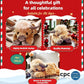 🎄Christmas New Gift Toy🐂🎁Cute Cartoon Highland Cow Cuddly Toy🔥Buy 2 Free Shipping