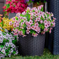 💖Spring Hot Sale 70% OFF- Artificial Flowers for Outdoors💐