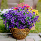💖Spring Hot Sale 70% OFF- Artificial Flowers for Outdoors💐
