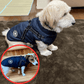 🐶Hot Sale -50% OFF🔥3 in 1 Winter Waterproof Warm Dog Jacket With Built-in Harness