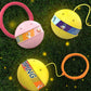 🔥Children's Day Promotion🔥Glowing Bouncing Ball