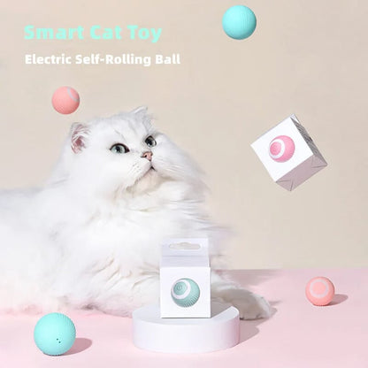 ✈️Buy 2 Get 15% OFF & Free shipping📦Smart Cat Interactive Ball Toys
