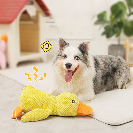 🔥Free Shipping✈️ Quack-Quack Duck Dog Toy