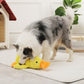 🔥Free Shipping✈️ Quack-Quack Duck Dog Toy