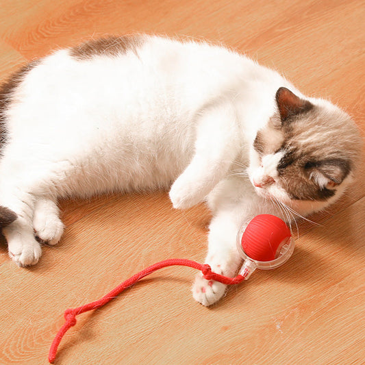 🎊HOT SALE 49% OFF - 🐱🐶Smart Automatic Rolling Pet Ball