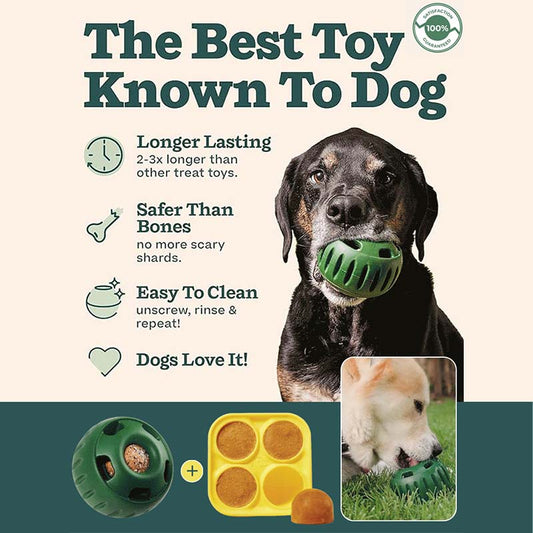 🎉Hot Sale - 50% OFF✨Treat Dispensing Dog Toy