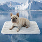 ❄️2026 Summer Hot Sale 49% OFF🧊PawDew™ for Dogs & Cats – Vet-Approved Ice-Silk Cooling Pad ❄️ | Q-MAX >0.4 | Washable 🧼, Non-Slip 🛟 | Perfect for Large Breeds & UK Summers ☀️🇬🇧