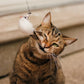 🐱BUY 2 FREE SHIPPING❤️Interactive Bird Simulation Cat Toy Set